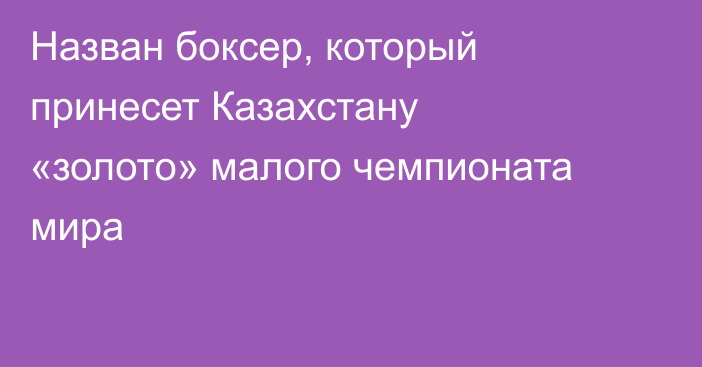 Назван боксер, который принесет Казахстану «золото» малого чемпионата мира