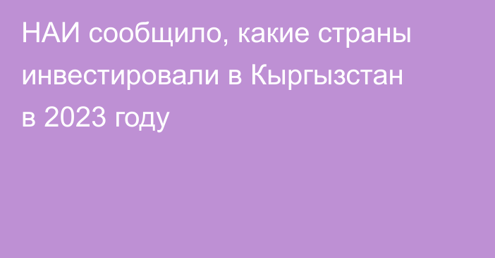 НАИ сообщило, какие страны инвестировали в Кыргызстан в 2023 году