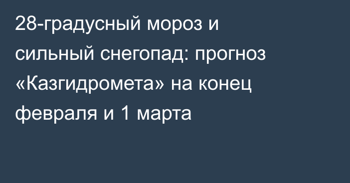 28-градусный мороз и сильный снегопад: прогноз «Казгидромета» на конец февраля и 1 марта