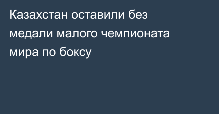 Казахстан оставили без медали малого чемпионата мира по боксу