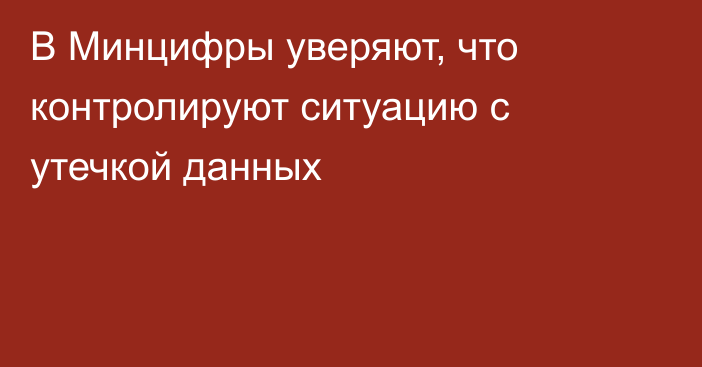 В Минцифры уверяют, что контролируют ситуацию с утечкой данных