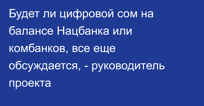 Будет ли цифровой сом на балансе Нацбанка или комбанков, все еще обсуждается, - руководитель проекта 