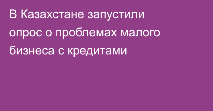 В Казахстане запустили опрос о проблемах малого бизнеса с кредитами