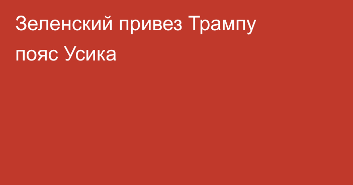 Зеленский привез Трампу пояс Усика