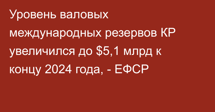 Уровень валовых международных резервов КР увеличился до $5,1 млрд к концу 2024 года, - ЕФСР