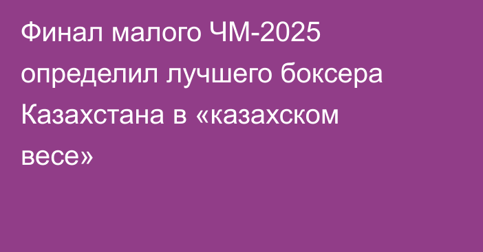 Финал малого ЧМ-2025 определил лучшего боксера Казахстана в «казахском весе»