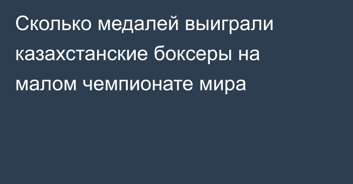 Сколько медалей выиграли казахстанские боксеры на малом чемпионате мира