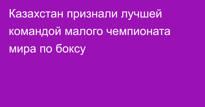 Казахстан признали лучшей командой малого чемпионата мира по боксу