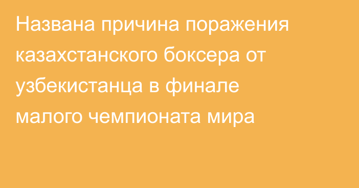 Названа причина поражения казахстанского боксера от узбекистанца в финале малого чемпионата мира