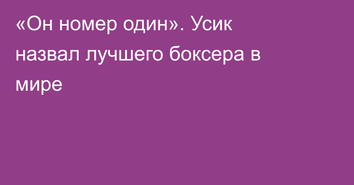 «Он номер один». Усик назвал лучшего боксера в мире