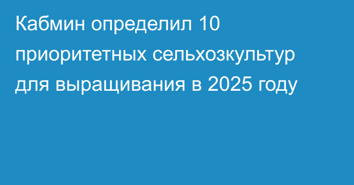 Кабмин определил 10 приоритетных сельхозкультур для выращивания в 2025 году