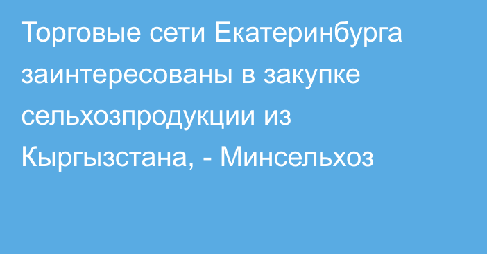 Торговые сети Екатеринбурга заинтересованы в закупке сельхозпродукции из Кыргызстана, - Минсельхоз