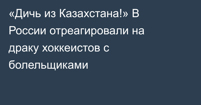 «Дичь из Казахстана!» В России отреагировали на драку хоккеистов с болельщиками