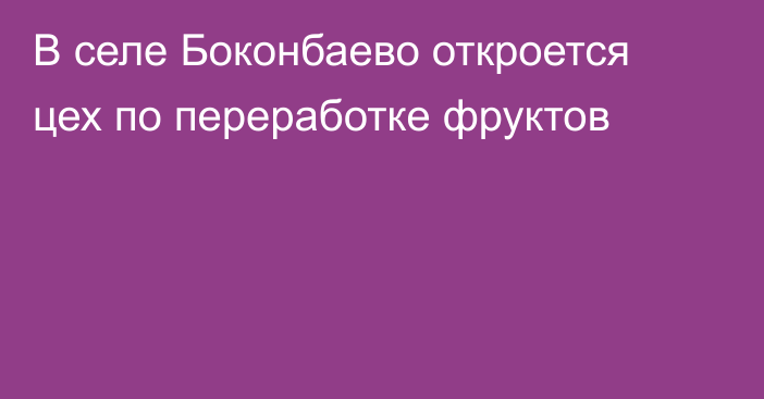В селе Боконбаево откроется цех по переработке фруктов