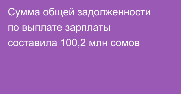 Сумма общей задолженности по выплате зарплаты составила 100,2 млн сомов