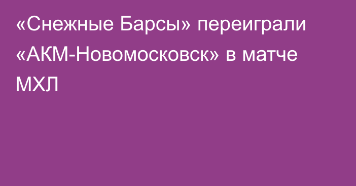 «Снежные Барсы» переиграли «АКМ-Новомосковск» в матче МХЛ