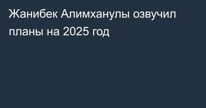 Жанибек Алимханулы озвучил планы на 2025 год