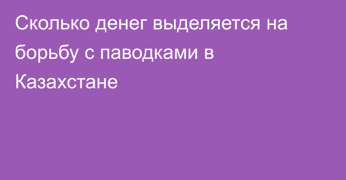 Сколько денег выделяется на борьбу с паводками в Казахстане