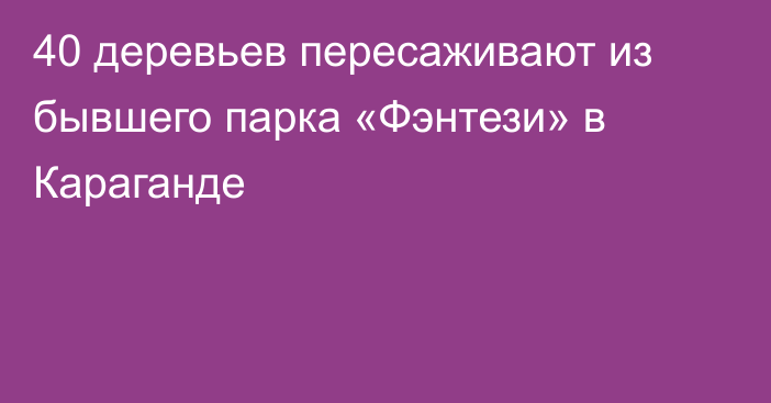 40 деревьев пересаживают из бывшего парка «Фэнтези» в Караганде