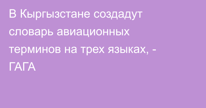 В Кыргызстане создадут словарь авиационных терминов на трех языках, - ГАГА