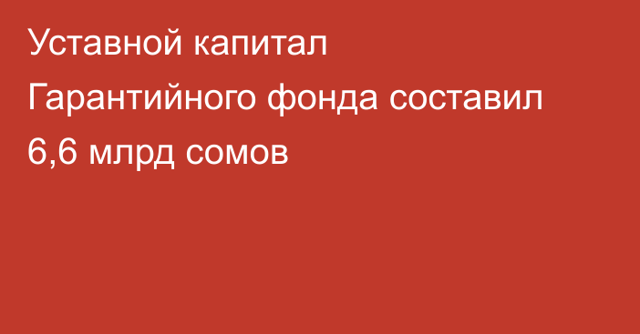 Уставной капитал Гарантийного фонда составил 6,6 млрд сомов