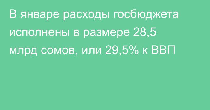 В январе расходы госбюджета исполнены в размере 28,5 млрд сомов, или 29,5% к ВВП