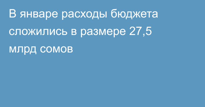 В январе расходы бюджета сложились в размере 27,5 млрд сомов