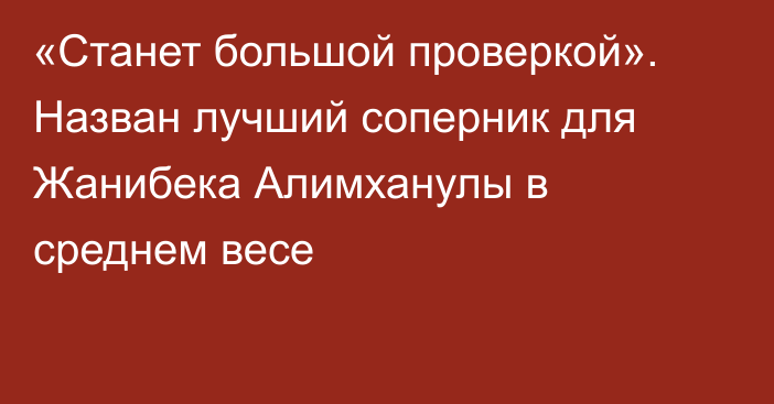 «Станет большой проверкой». Назван лучший соперник для Жанибека Алимханулы в среднем весе