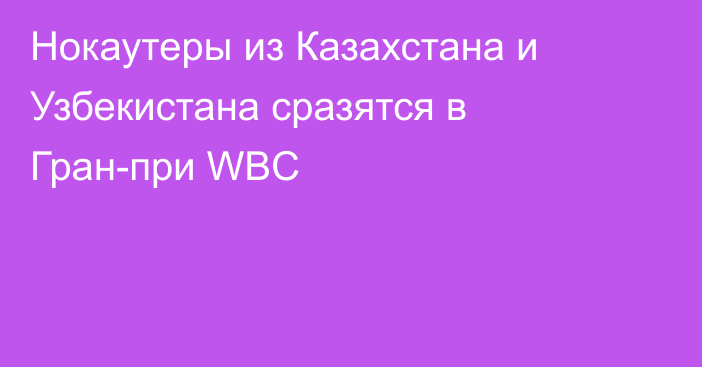 Нокаутеры из Казахстана и Узбекистана сразятся в Гран-при WBC