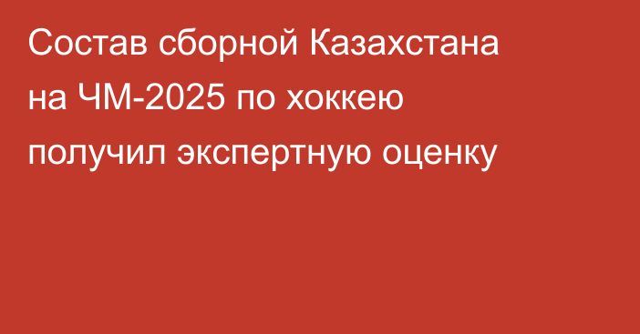 Состав сборной Казахстана на ЧМ-2025 по хоккею получил экспертную оценку