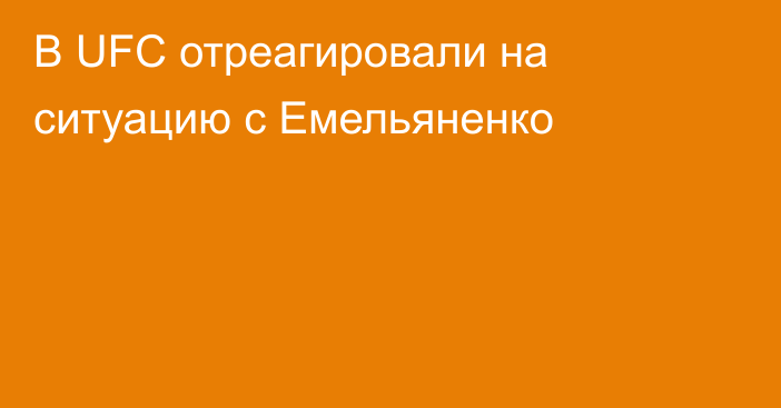 В UFC отреагировали на ситуацию с Емельяненко