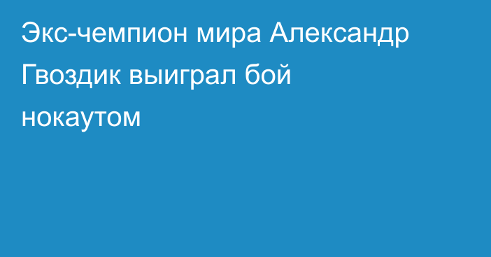 Экс-чемпион мира Александр Гвоздик выиграл бой нокаутом