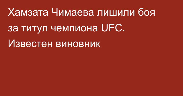 Хамзата Чимаева лишили боя за титул чемпиона UFC. Известен виновник