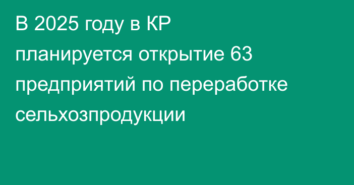 В 2025 году в КР планируется открытие 63 предприятий по переработке сельхозпродукции