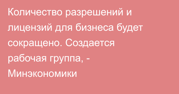 Количество разрешений и лицензий для бизнеса будет сокращено. Создается рабочая группа, - Минэкономики