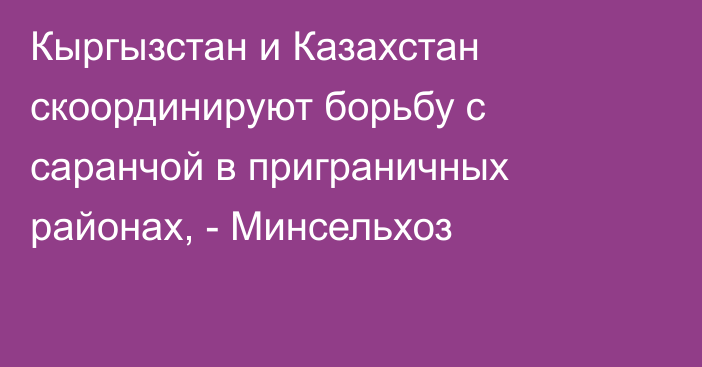 Кыргызстан и Казахстан скоординируют борьбу с саранчой в приграничных районах, - Минсельхоз