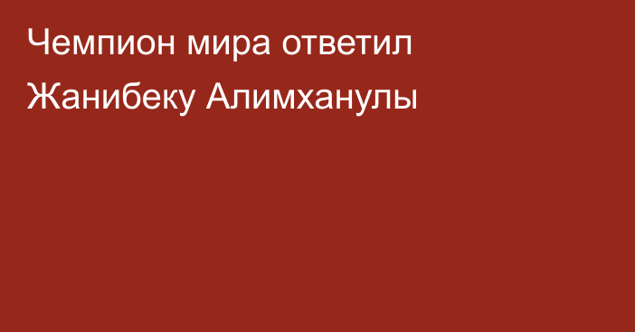 Чемпион мира ответил Жанибеку Алимханулы