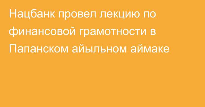 Нацбанк провел лекцию по финансовой грамотности в Папанском айыльном аймаке