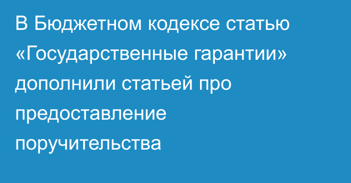 В Бюджетном кодексе статью «Государственные гарантии» дополнили статьей про предоставление поручительства
