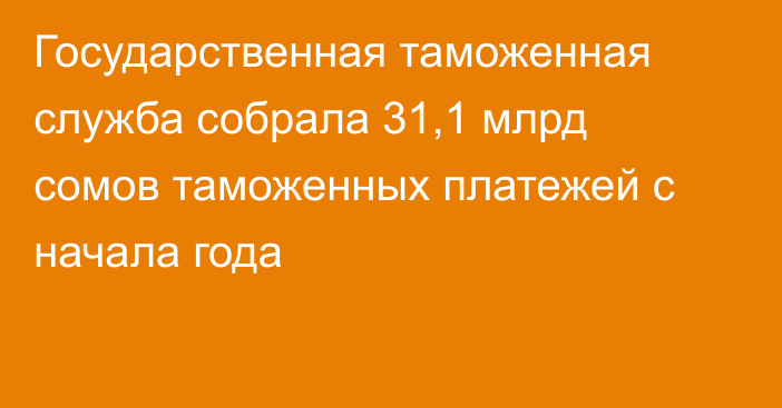 Государственная таможенная служба собрала 31,1 млрд сомов таможенных платежей с начала года