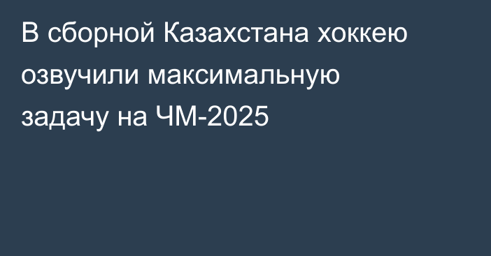 В сборной Казахстана хоккею озвучили максимальную задачу на ЧМ-2025