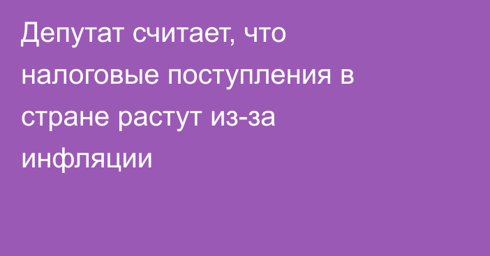 Депутат считает, что налоговые поступления в стране растут из-за инфляции