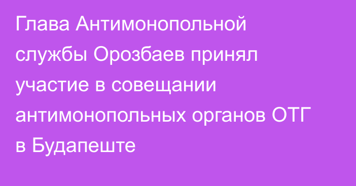 Глава Антимонопольной службы Орозбаев принял участие в совещании антимонопольных органов ОТГ в Будапеште