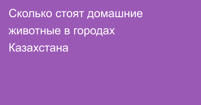 Сколько стоят домашние животные в городах Казахстана