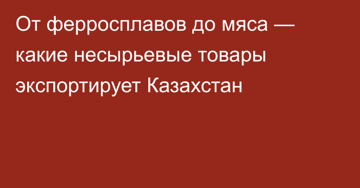 От ферросплавов до мяса — какие несырьевые товары экспортирует Казахстан