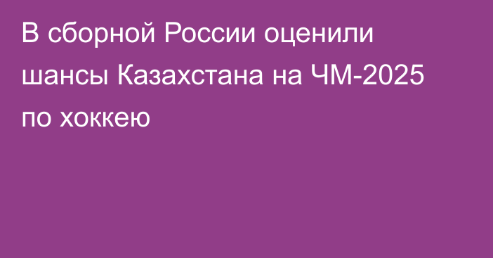 В сборной России оценили шансы Казахстана на ЧМ-2025 по хоккею