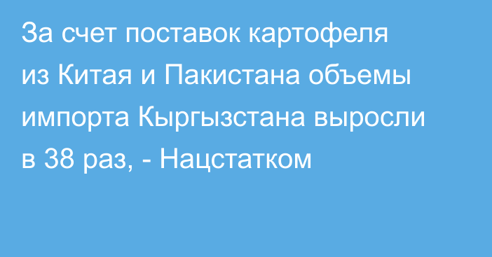 За счет поставок картофеля из Китая и Пакистана объемы импорта Кыргызстана выросли в 38 раз, - Нацстатком 