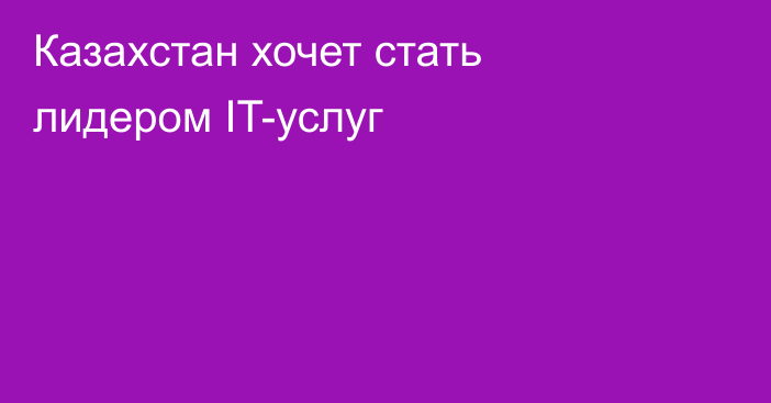 Казахстан хочет стать лидером IT-услуг
