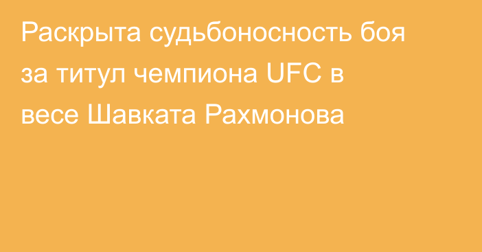 Раскрыта судьбоносность боя за титул чемпиона UFC в весе Шавката Рахмонова