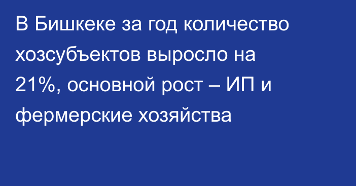 В Бишкеке за год количество хозсубъектов выросло на 21%, основной рост – ИП и фермерские хозяйства